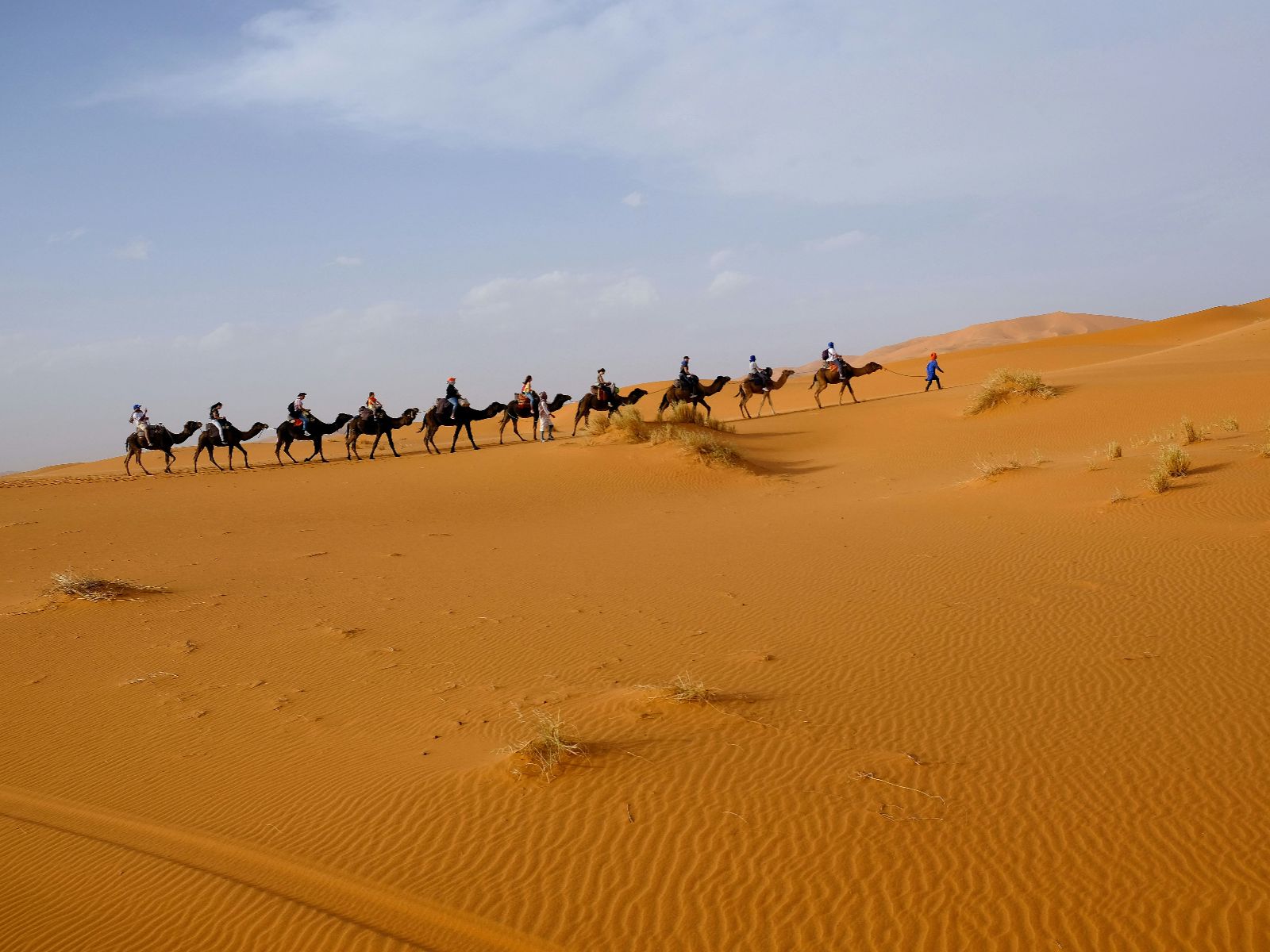 Rondreis Marokko, Merzouga, Excursie 4x4 Avontuur, kamelen in de woestijn