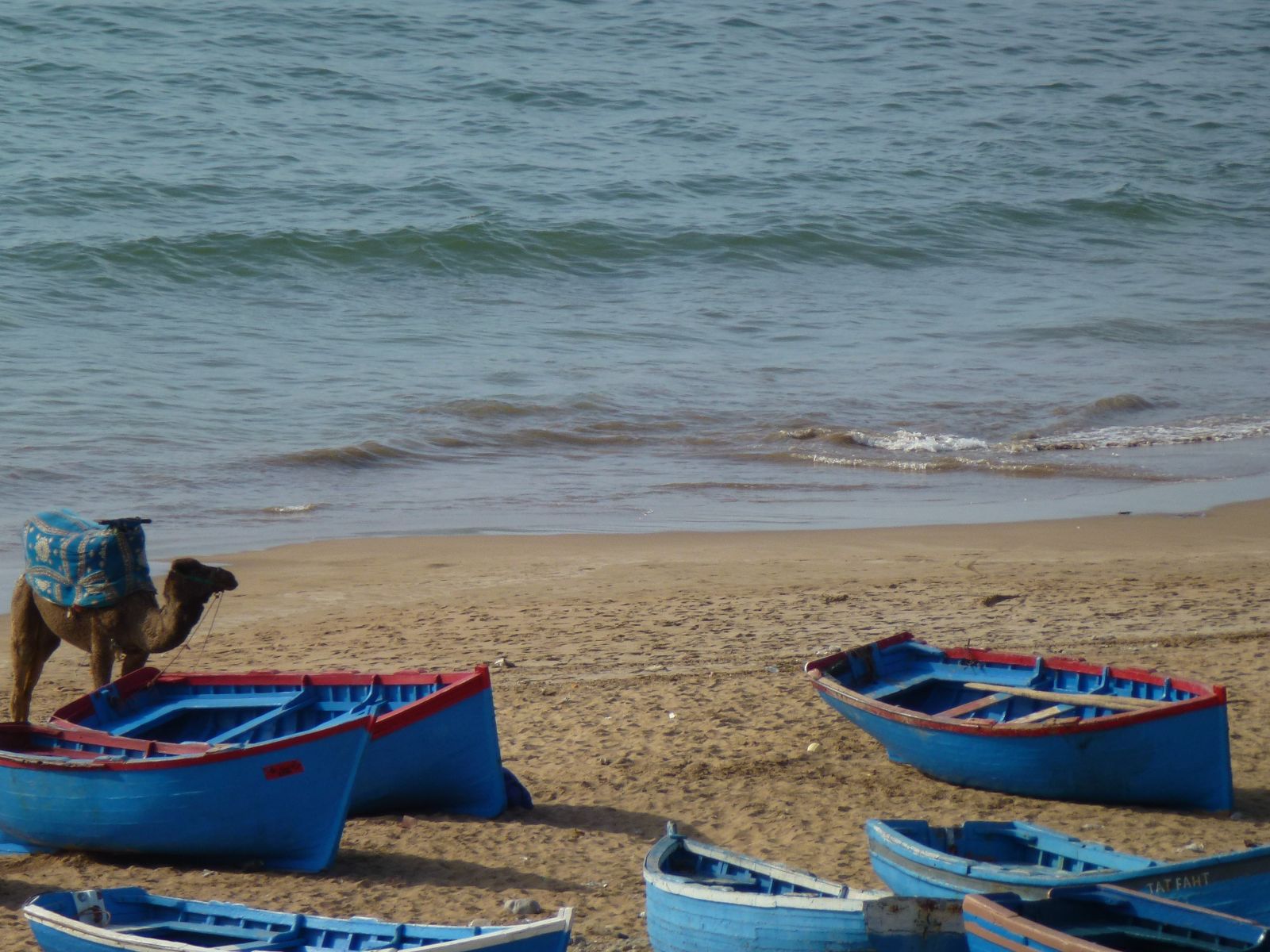 Rondreis Marokko, Taghazout, bootjes en kameel op het strand