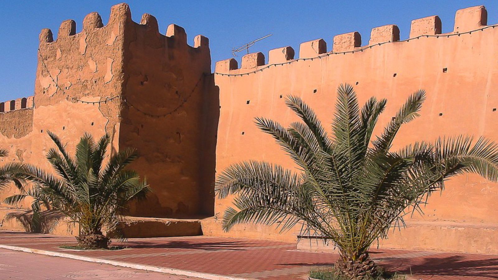 Rondreis Marokko, Taroudant, muur met palmbomen ervoor