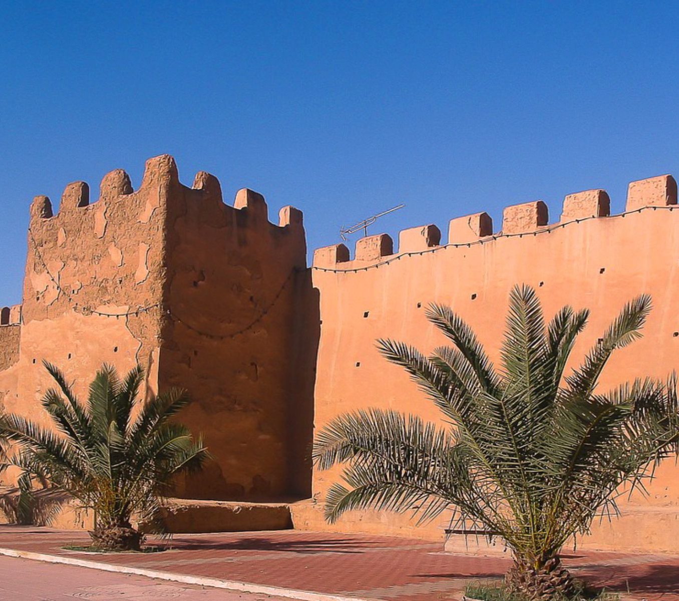 Rondreis Marokko, Taroudant, muur met palmbomen ervoor