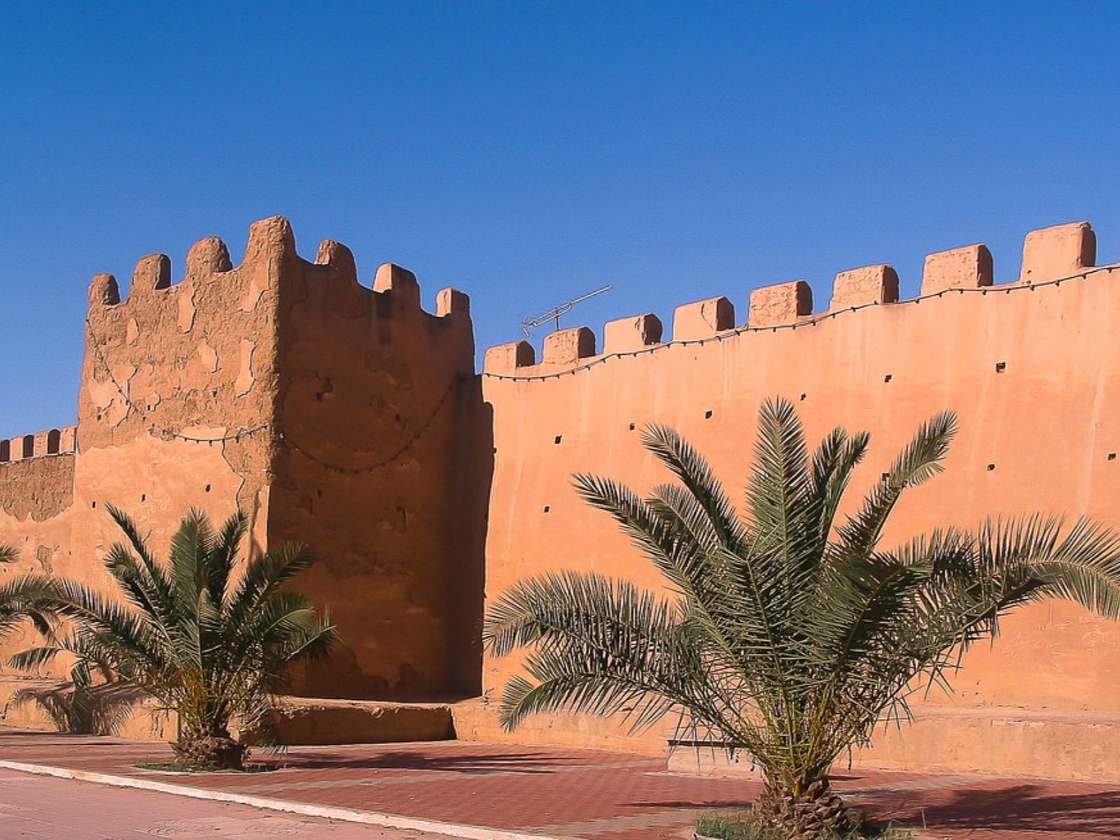 Rondreis Marokko, Taroudant, muur met palmbomen ervoor