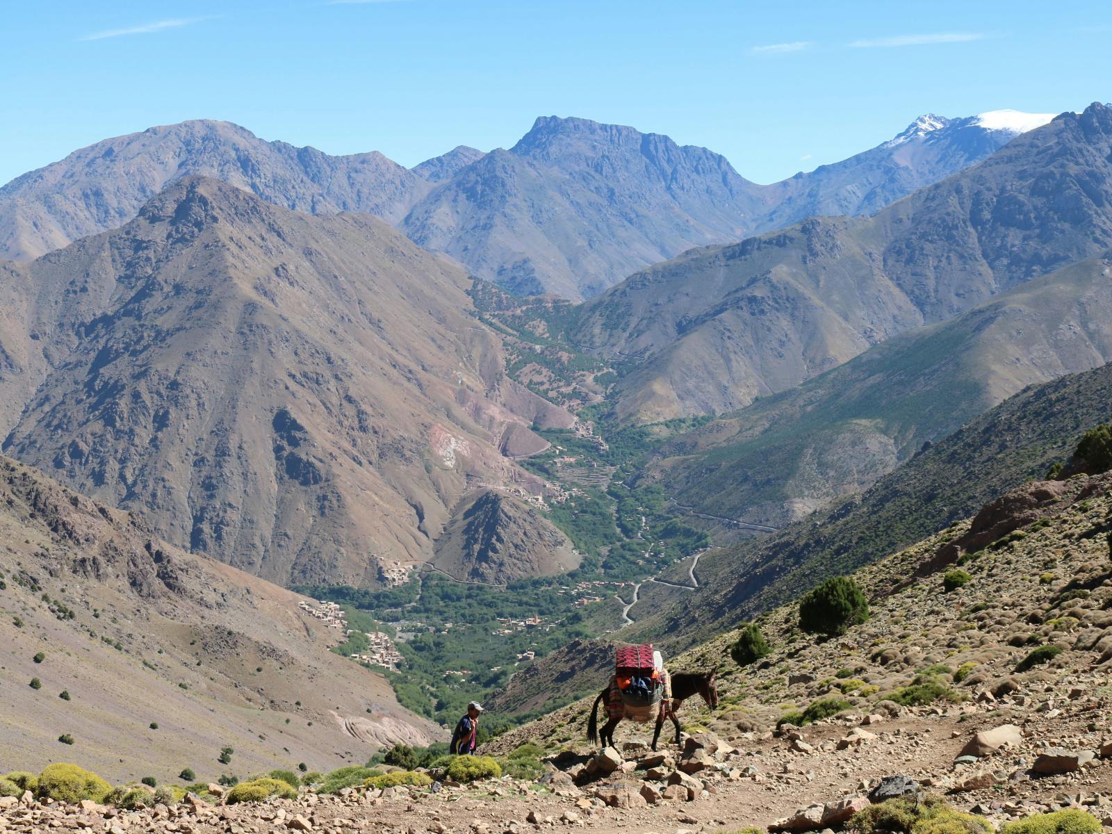 Rondreis Marokko, Tizi Oussem en Toubkal, ezel in bergen