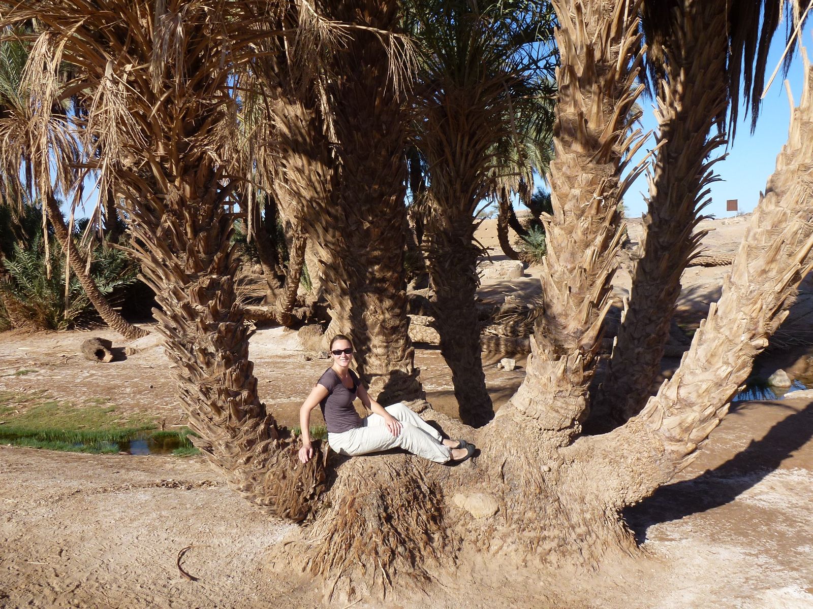 Rondreis Marokko, Zagora, palmoase Joanne