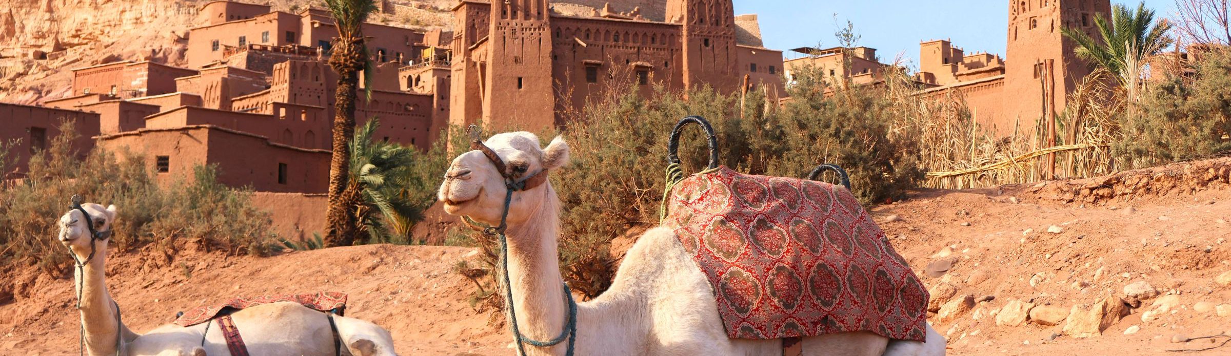 Rondreis-Marokko-kasbah-Ait-Ben-Haddou-met-dromedarissen-op-voorgrond-aspect-ratio-1512-438