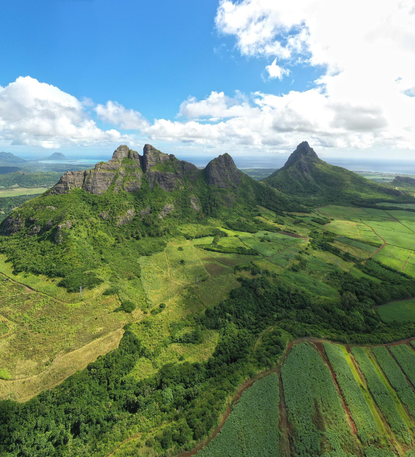 Rondreis Mauritius, Black River Gorge National Park, omgevingsfoto