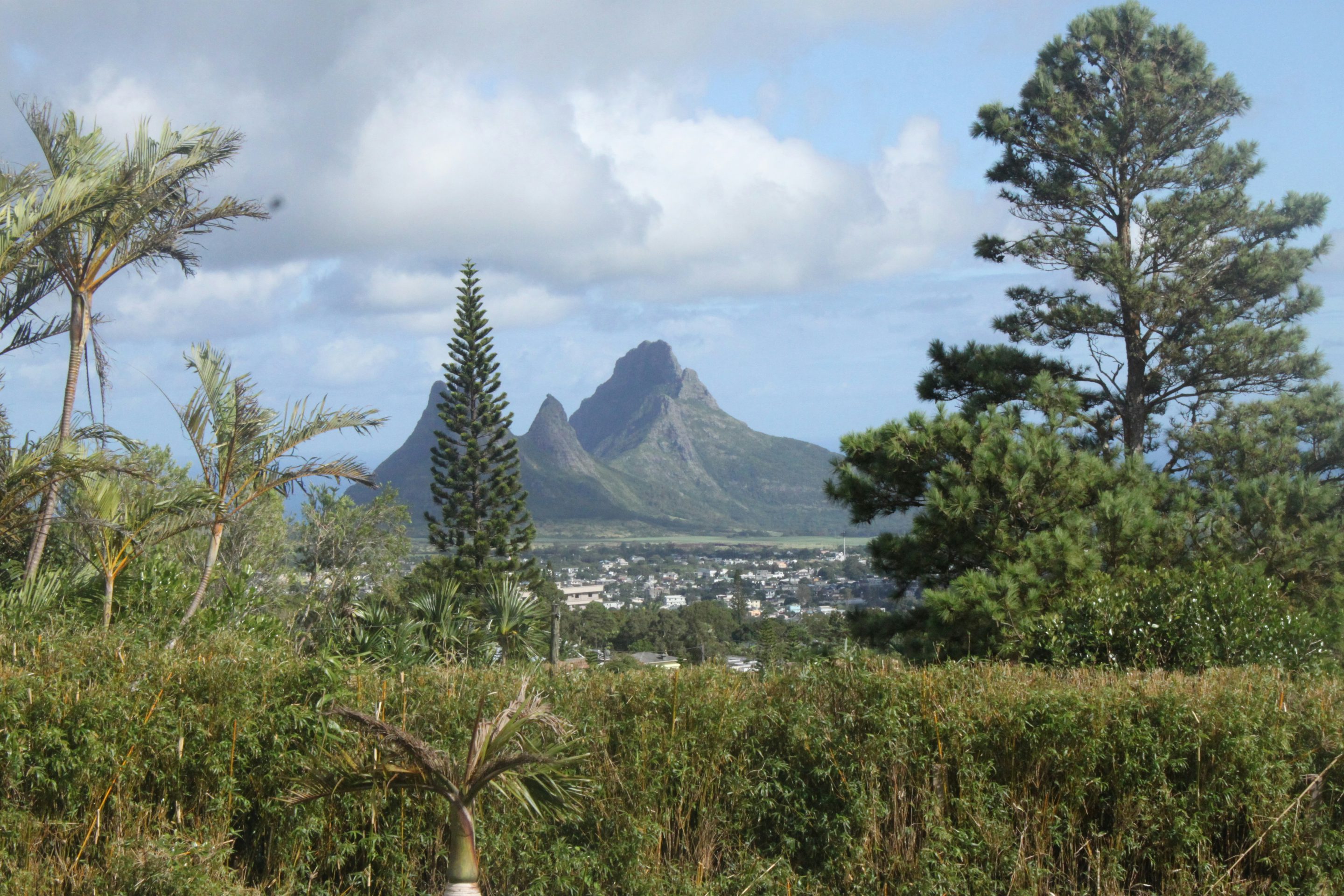 Rondreis Mauritius, Black River Gorges NP, doorkijk op de bergen