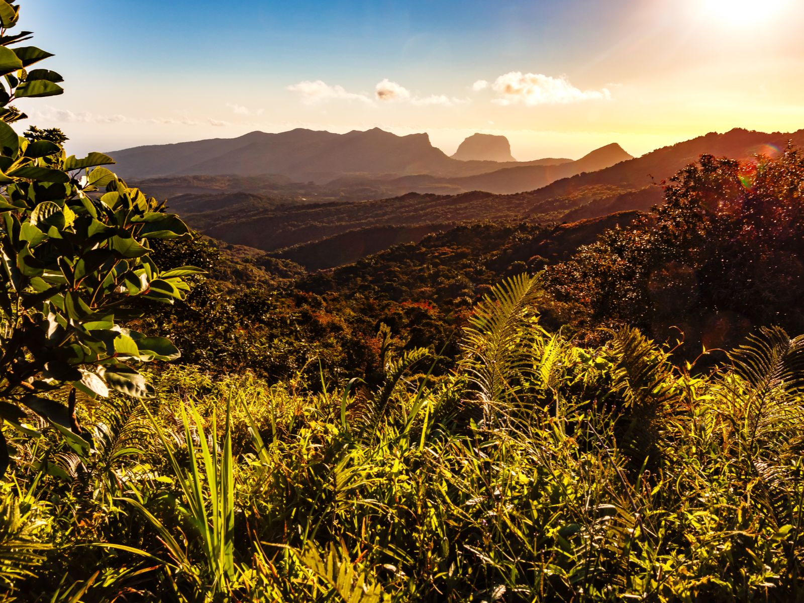 Rondreis Mauritius, Black River Gorges NP, groen met bergen in de verte, MTPA