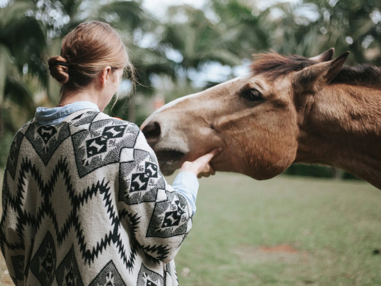 Rondreis Mauritius, Chamarel, La Vieille Cheminee, paard