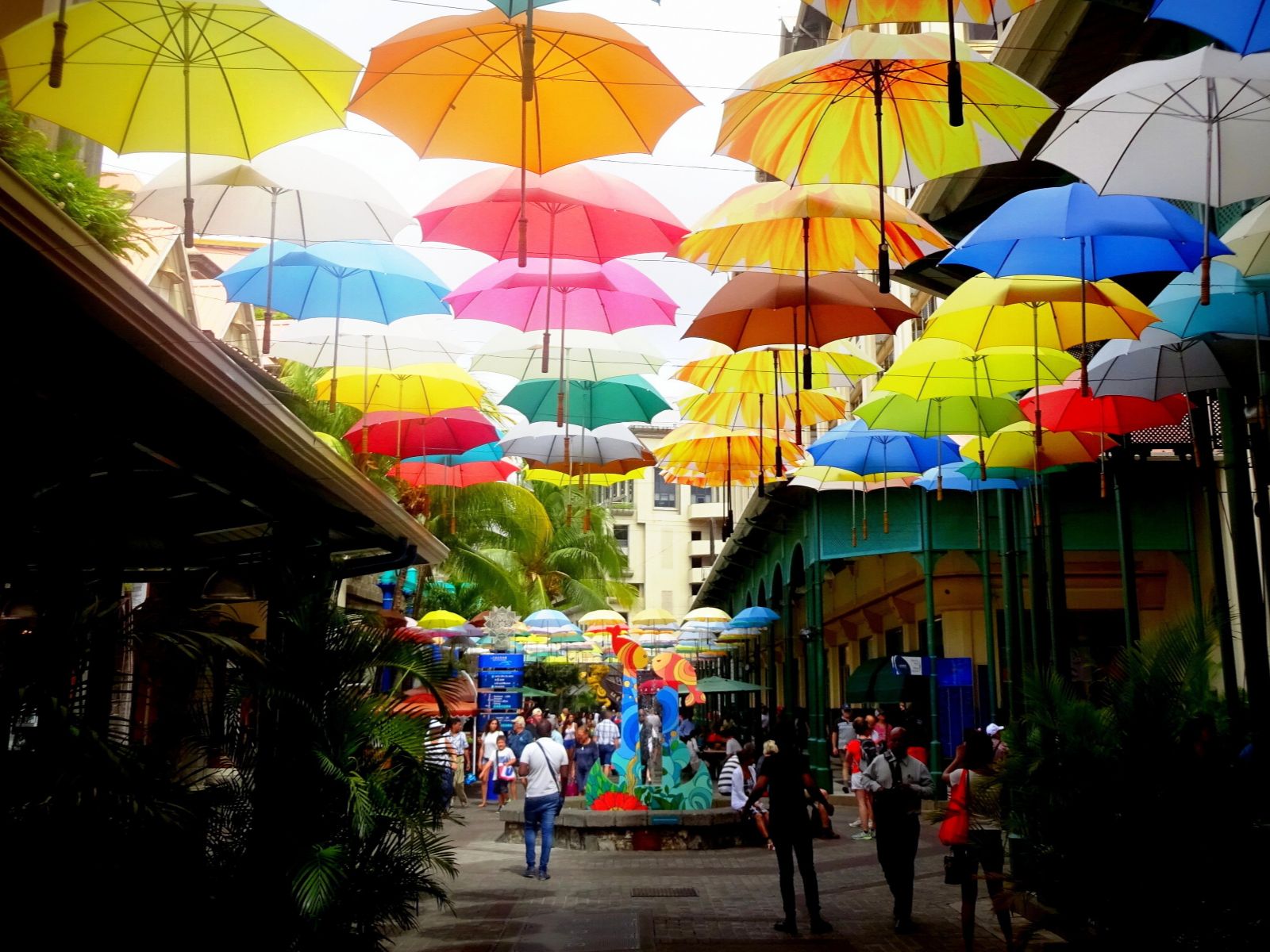 Rondreis Mauritius, Port Louis, Kleurrijke paraplu's boven straat