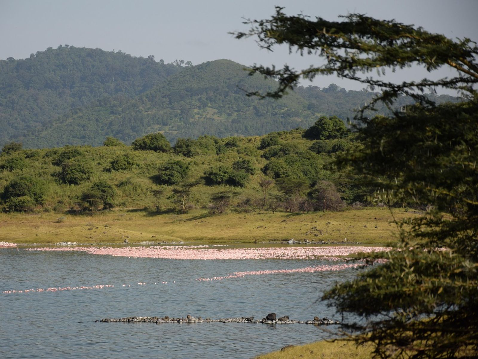 Rondreis Tanzania, Arusha, excursie kanovaren Duluti meer, meer met heuvels op achtergrond