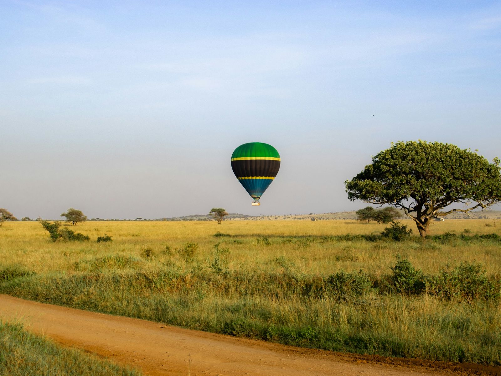 Rondreis Tanzania, Serengeti, excursie ballonvaart over Serengeti, luchtballon boven de vlakte