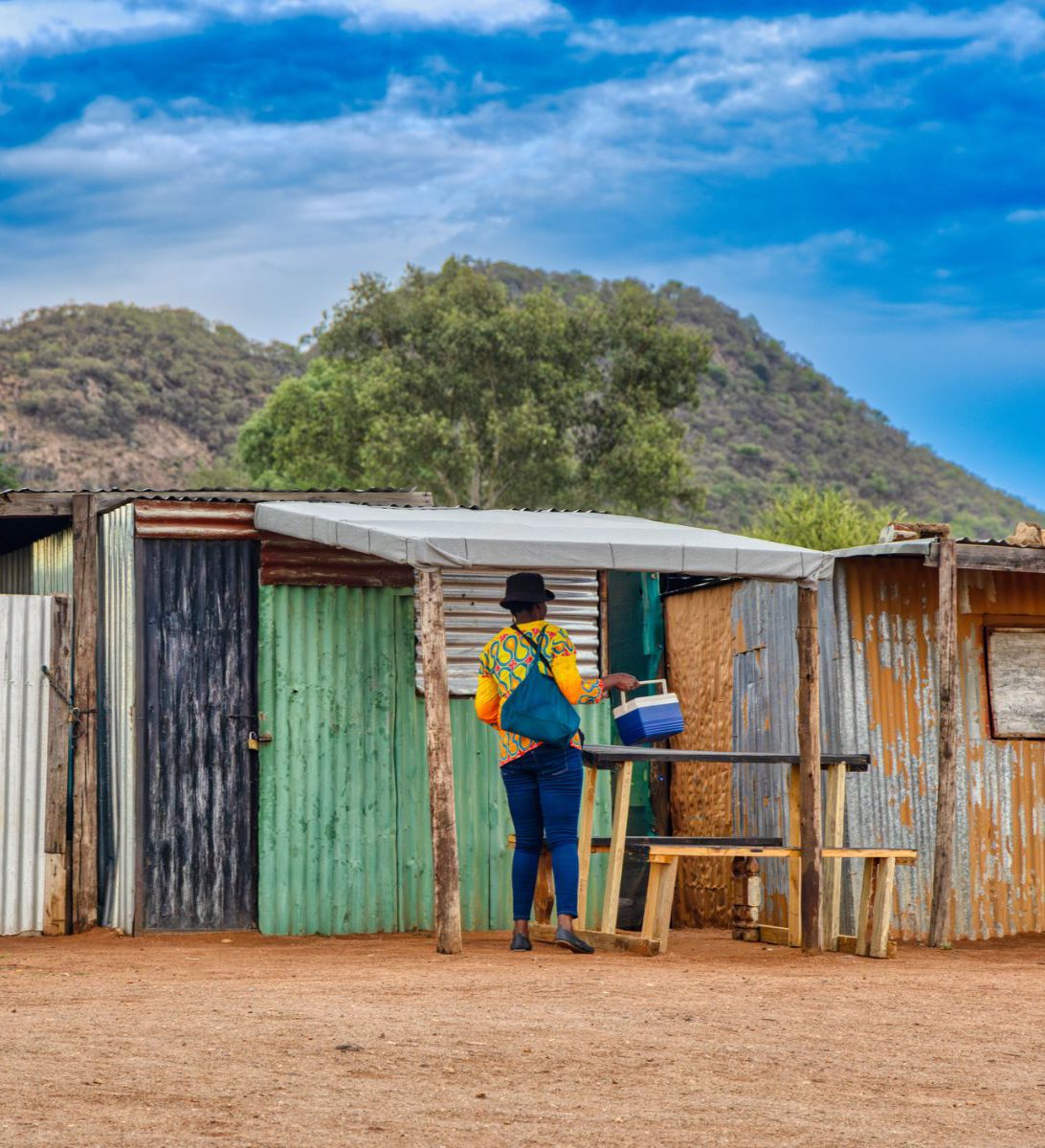 Rondreis Zuid-Afrika, Johannesburg, excursie Soweto Apartheid Combo, kleurrijke huisjes in Soweto