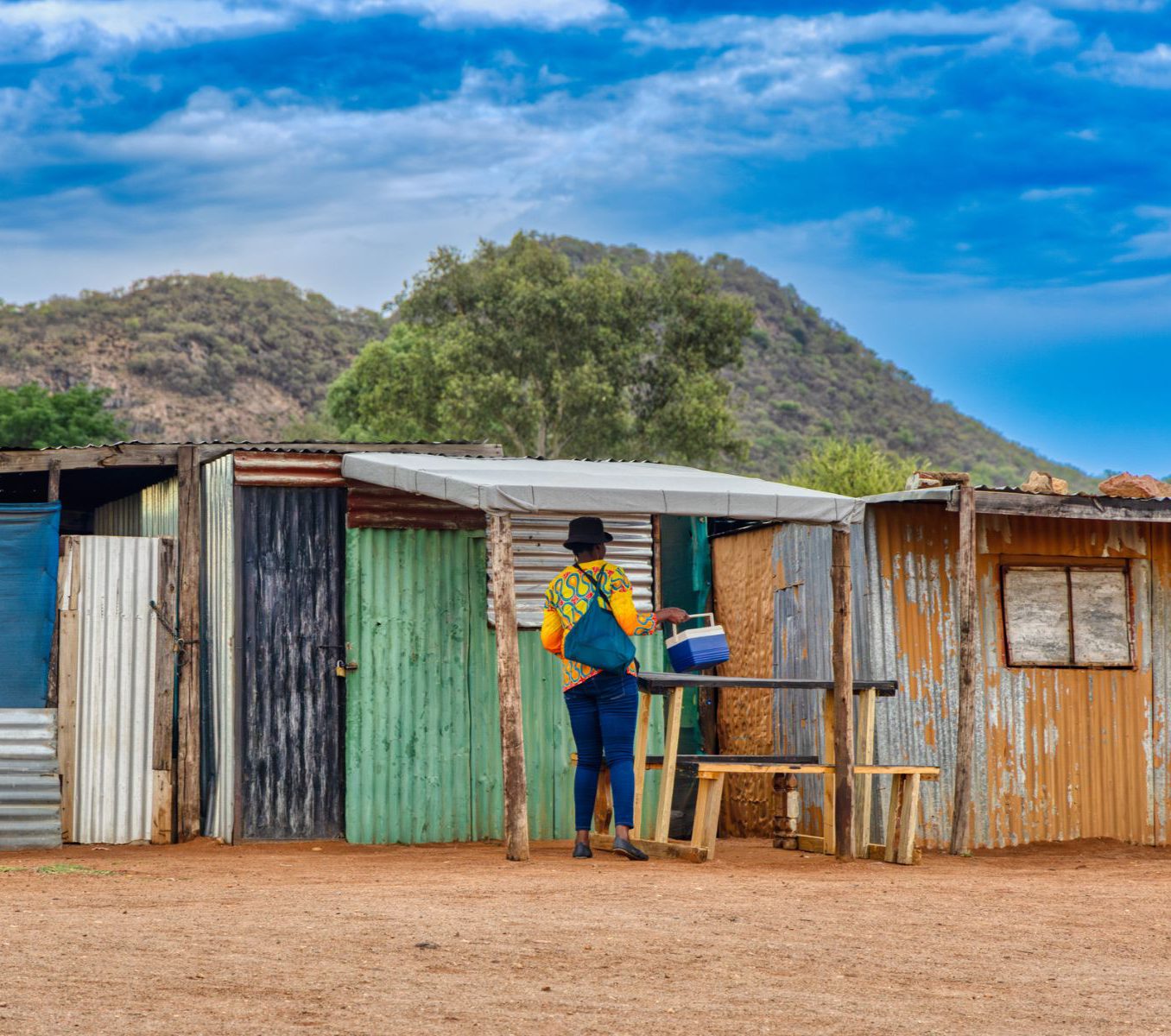 Rondreis Zuid-Afrika, Johannesburg, excursie Soweto Apartheid Combo, kleurrijke huisjes in Soweto