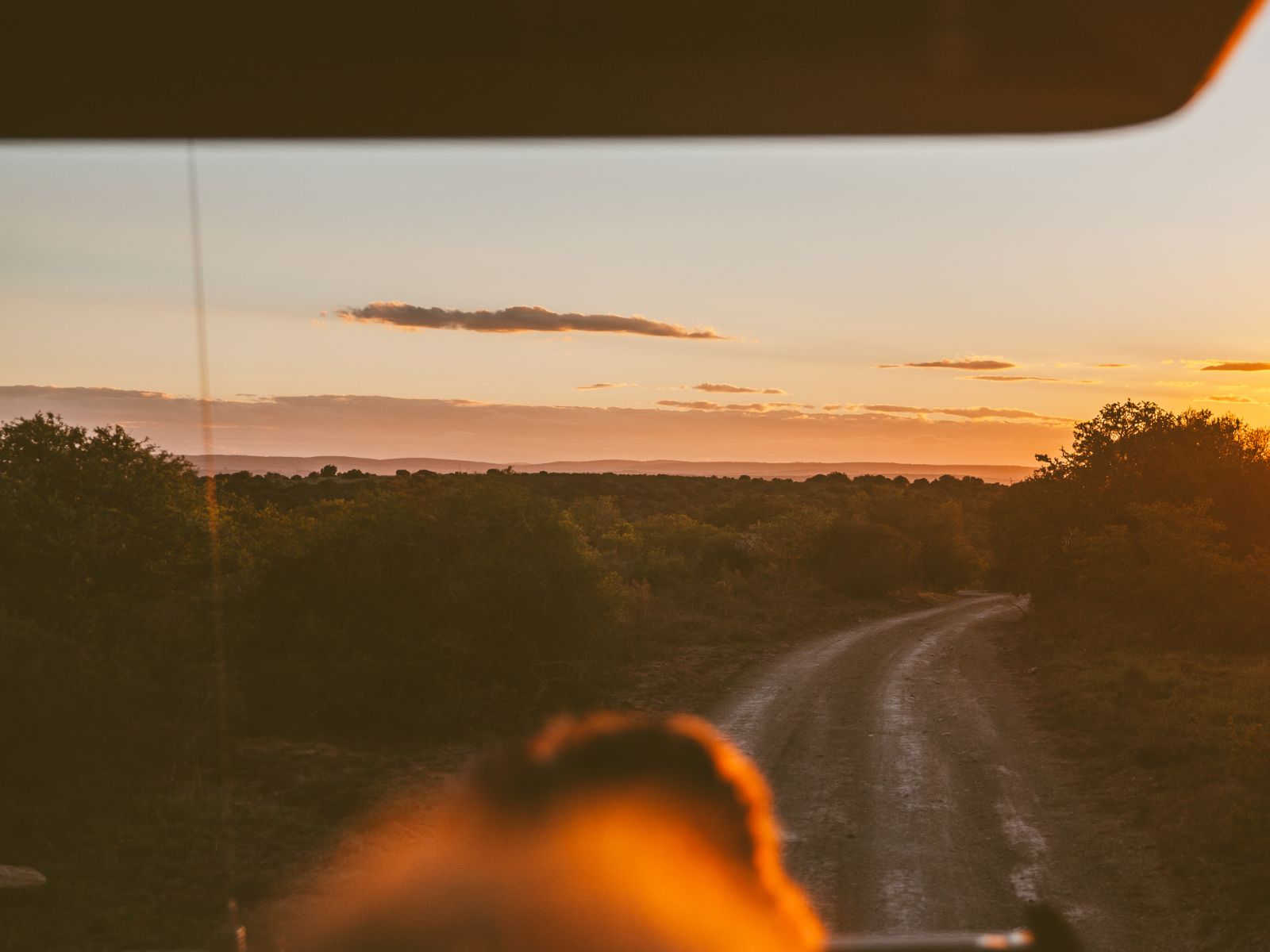 Rondreis Zuid-Afrika, Kruger National Park, excursie Night drive vanuit Olifants Rest Camp, safaritruck