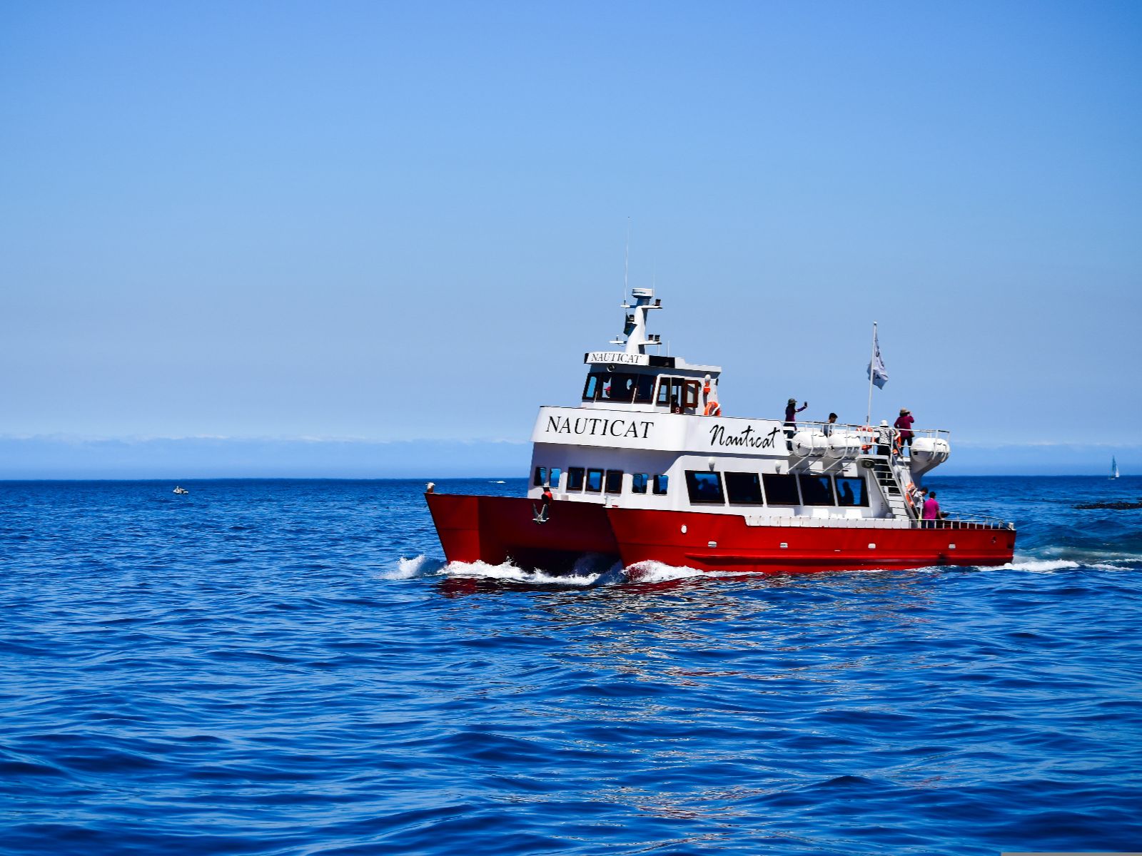 Rondreis Zuid-Afrika, Marine Big 5 excursie, excursieboot