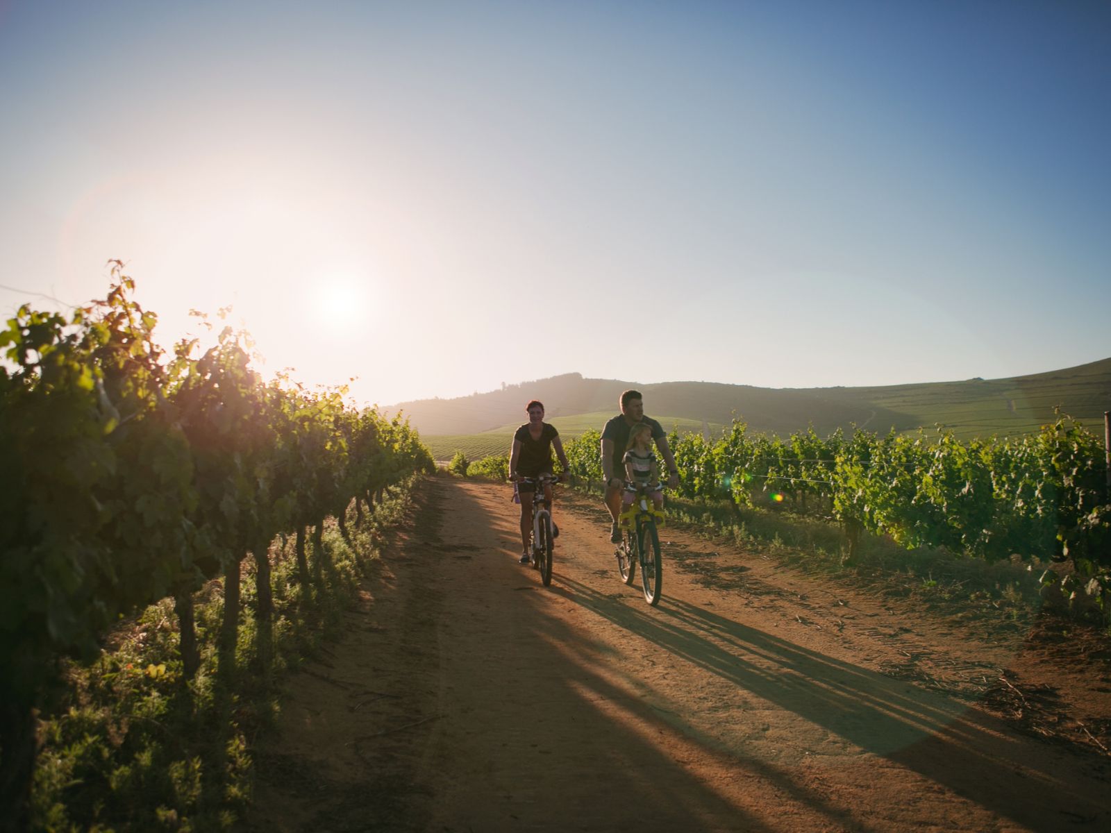 Rondreis Zuid-Afrika, Stellenbosch, excursie Stellenbosch Vineyard Meander, familie op fiets door wijngaarden