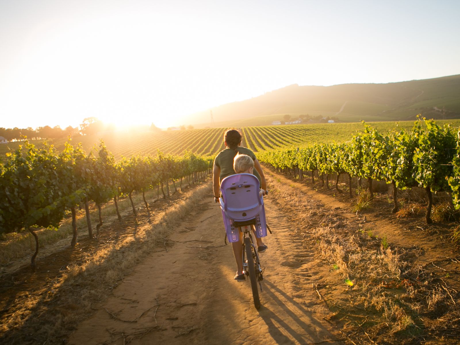Rondreis Zuid-Afrika, Stellenbosch, excursie Stellenbosch Vineyard Meander, moeder met zoon op fiets