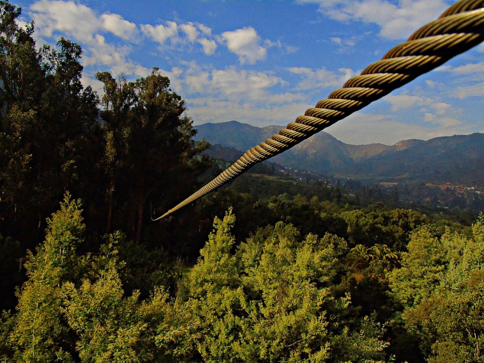 Rondreis Zuid-Afrika, excursie forest zipline Hazyview, zipline