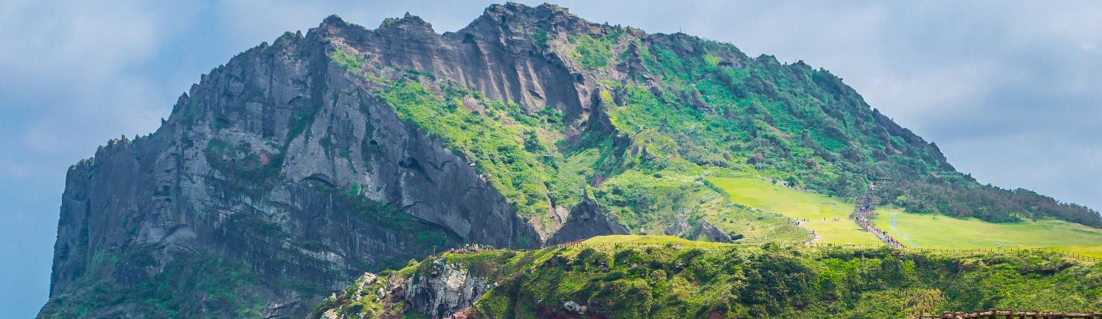 Rondreis Zuid-Korea, Jeju Island, bloesem, iStock