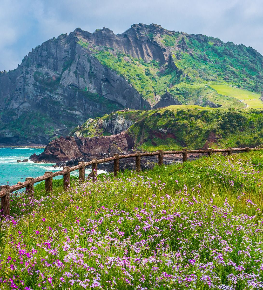 Rondreis Zuid-Korea, Jeju Island, bloesem, iStock