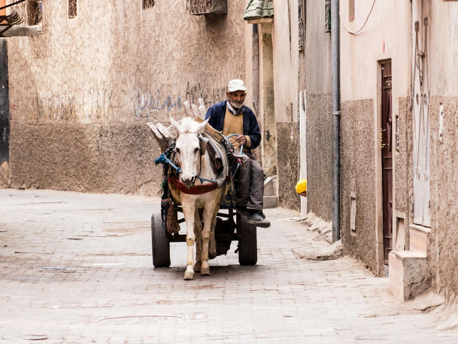rondreis marokko - marrakech hoogtepunt 14
