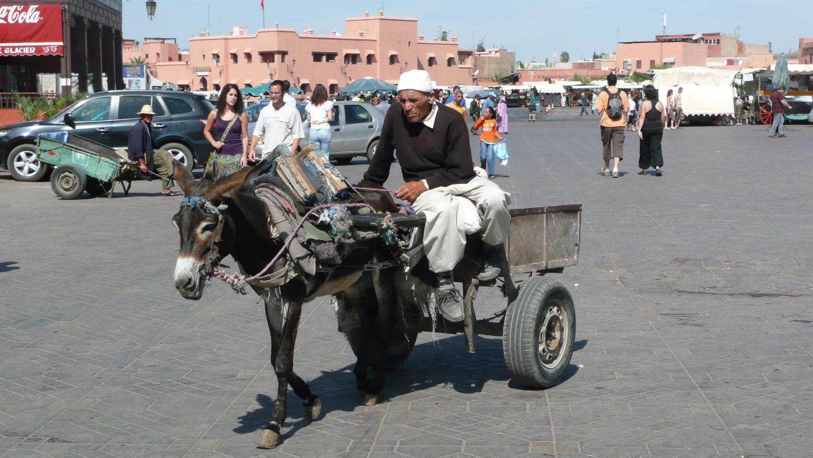 Rondreis Marokko, Marrakech, plein met ezel en man