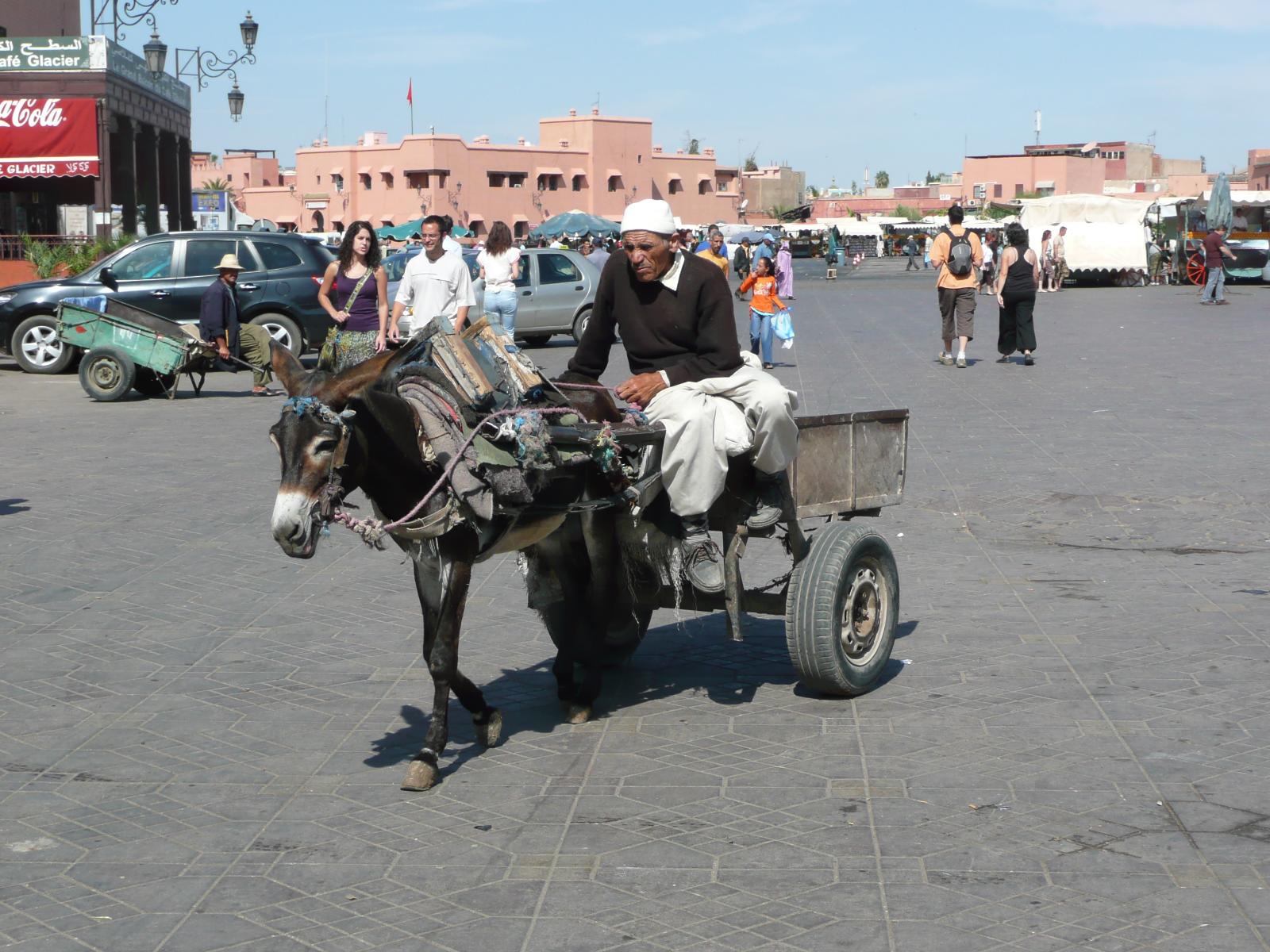 Rondreis Marokko, Marrakech, plein met ezel en man