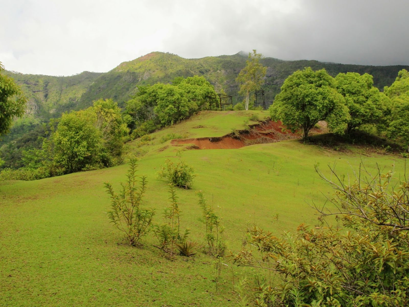 Rondreis Mauritius, Black River Gorges, Excursie Hike door Black River Gorges, Plateau remousse