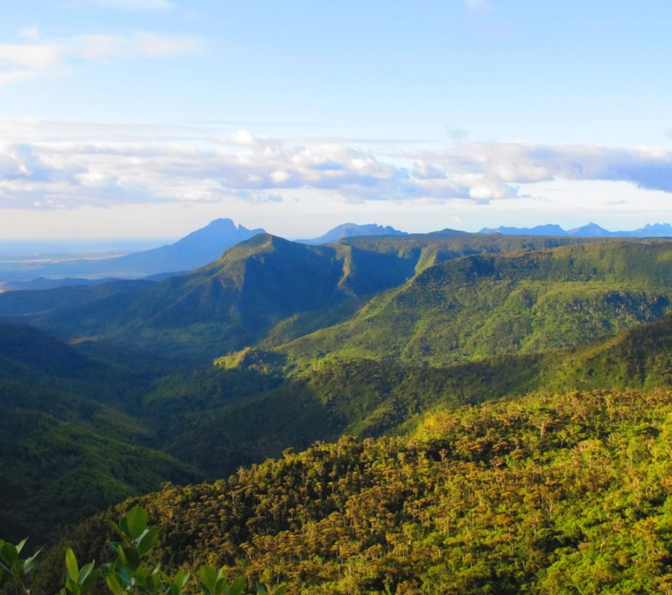 Rondreis Mauritius, Black River Gorges, Excursie Hike door Black River Gorges, wijds uitzicht over het natuurgebied