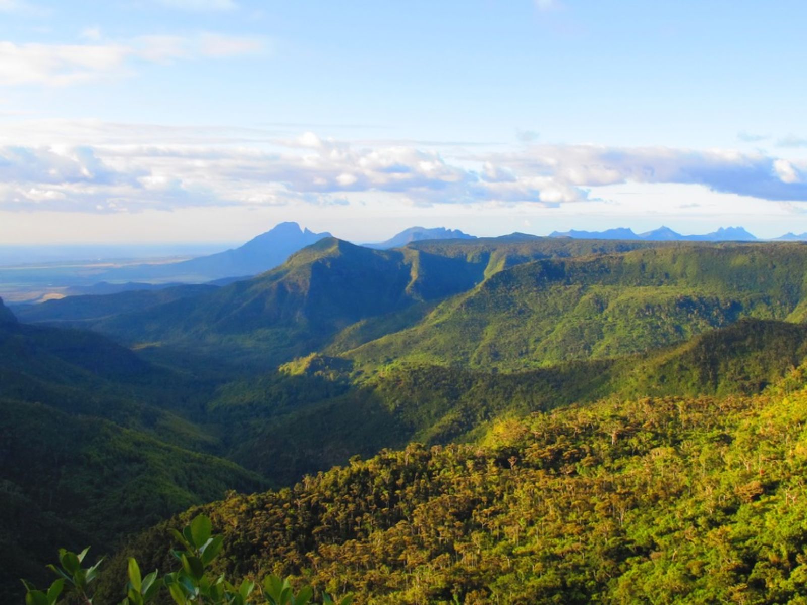 Rondreis Mauritius, Black River Gorges, Excursie Hike door Black River Gorges, wijds uitzicht over het natuurgebied