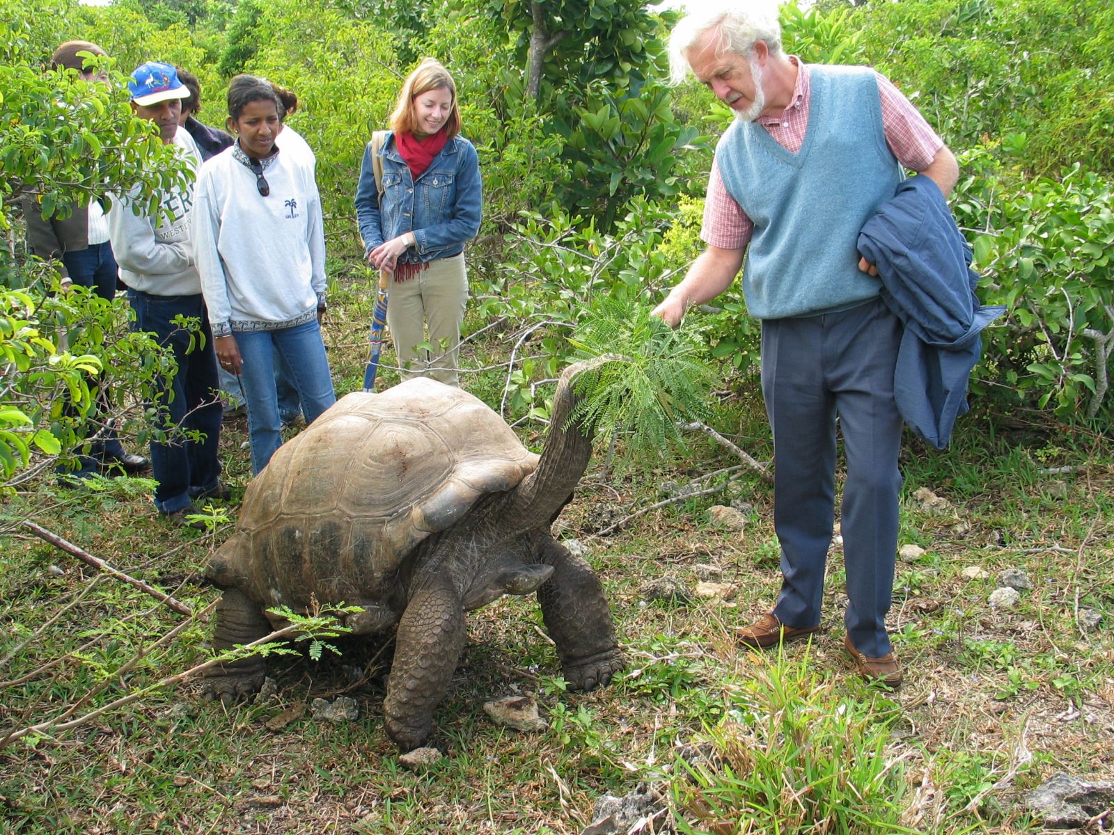 Rondreis Mauritius, Ile aux Aigrettes, Excursie Mauritius Wildlife Foundation, reuzenschildpad voeren