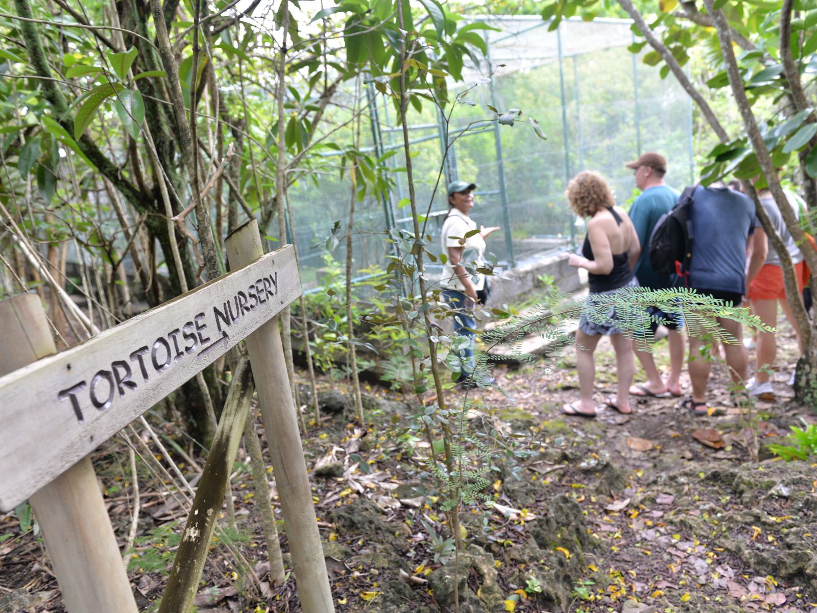 Rondreis Mauritius, Ile aux Aigrettes, Excursie Mauritius Wildlife Foundation, tortoise nursery
