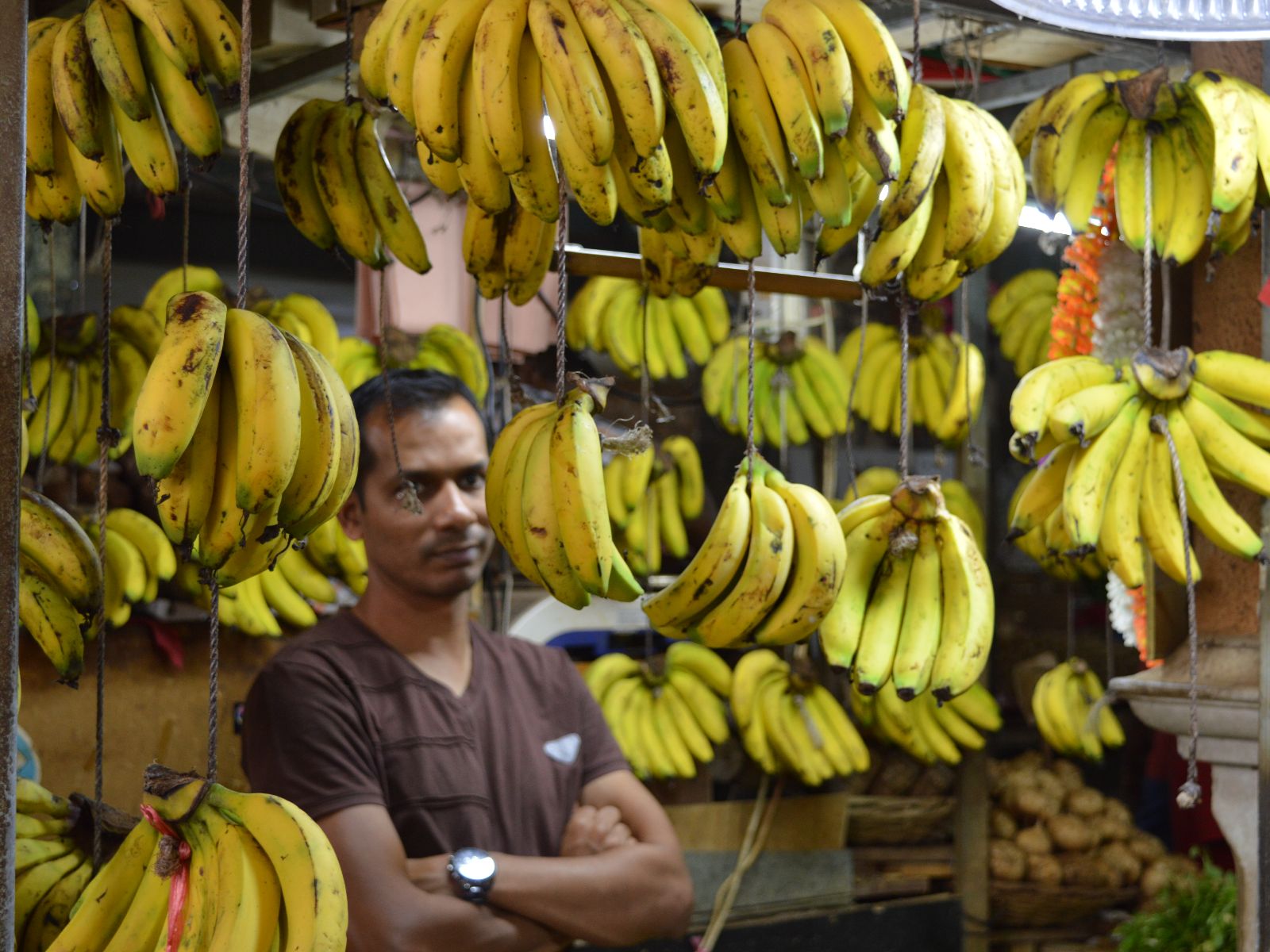 Rondreis Mauritius, Port Louis, Excurie Street Food Tour in Port Louis, bananen aan een touw