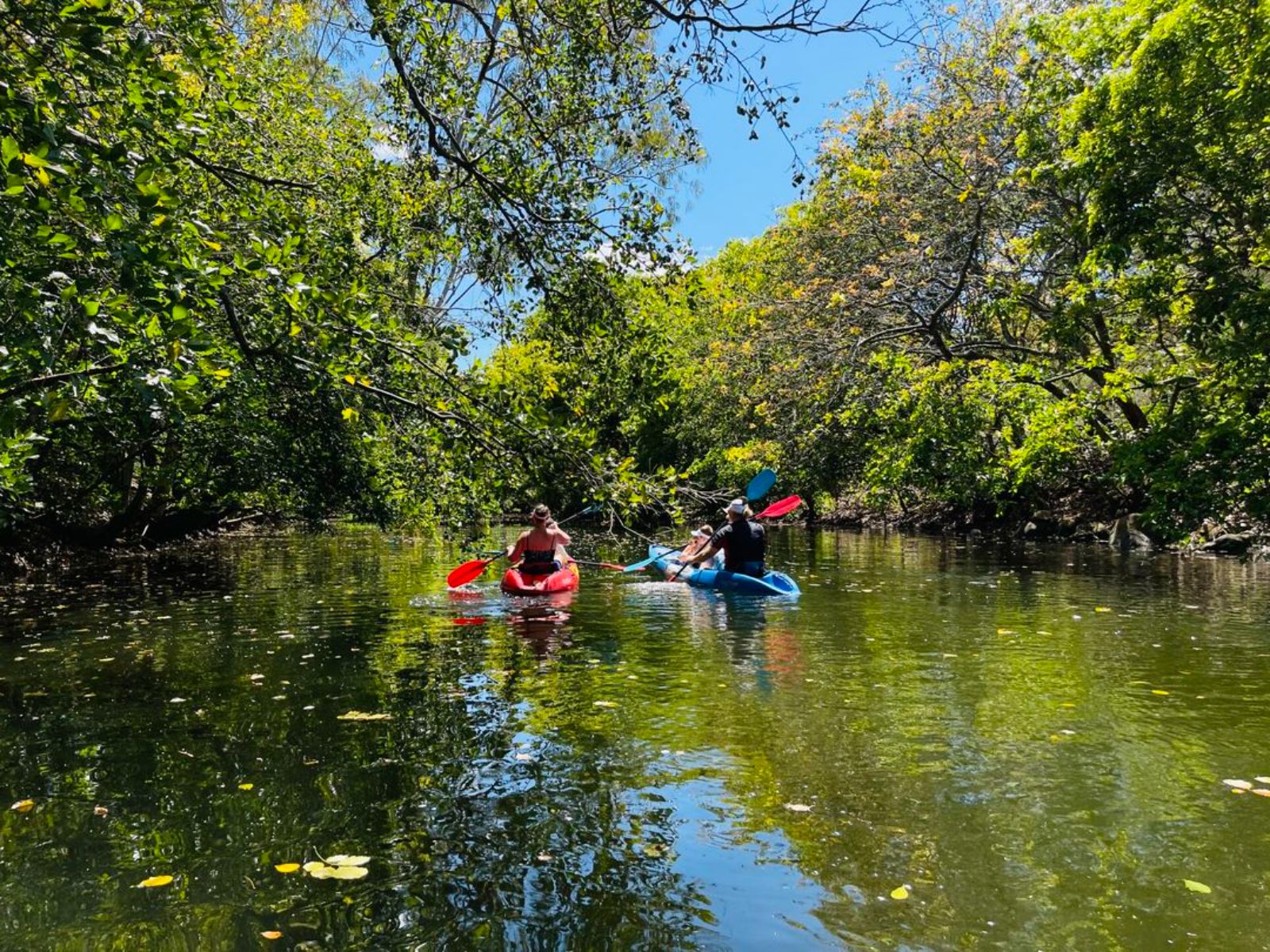 Rondreis Mauritius, Tamarin Bay, Excursie Kajakken op de Tamarin River, kayakken door het groen