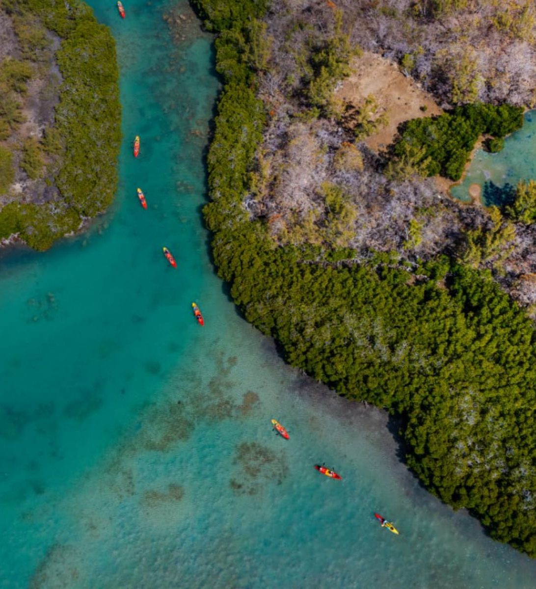 Rondreis Mauritius, Tamarin bay, Excursie Kajakken op de Tamarin River, rij van kajaks