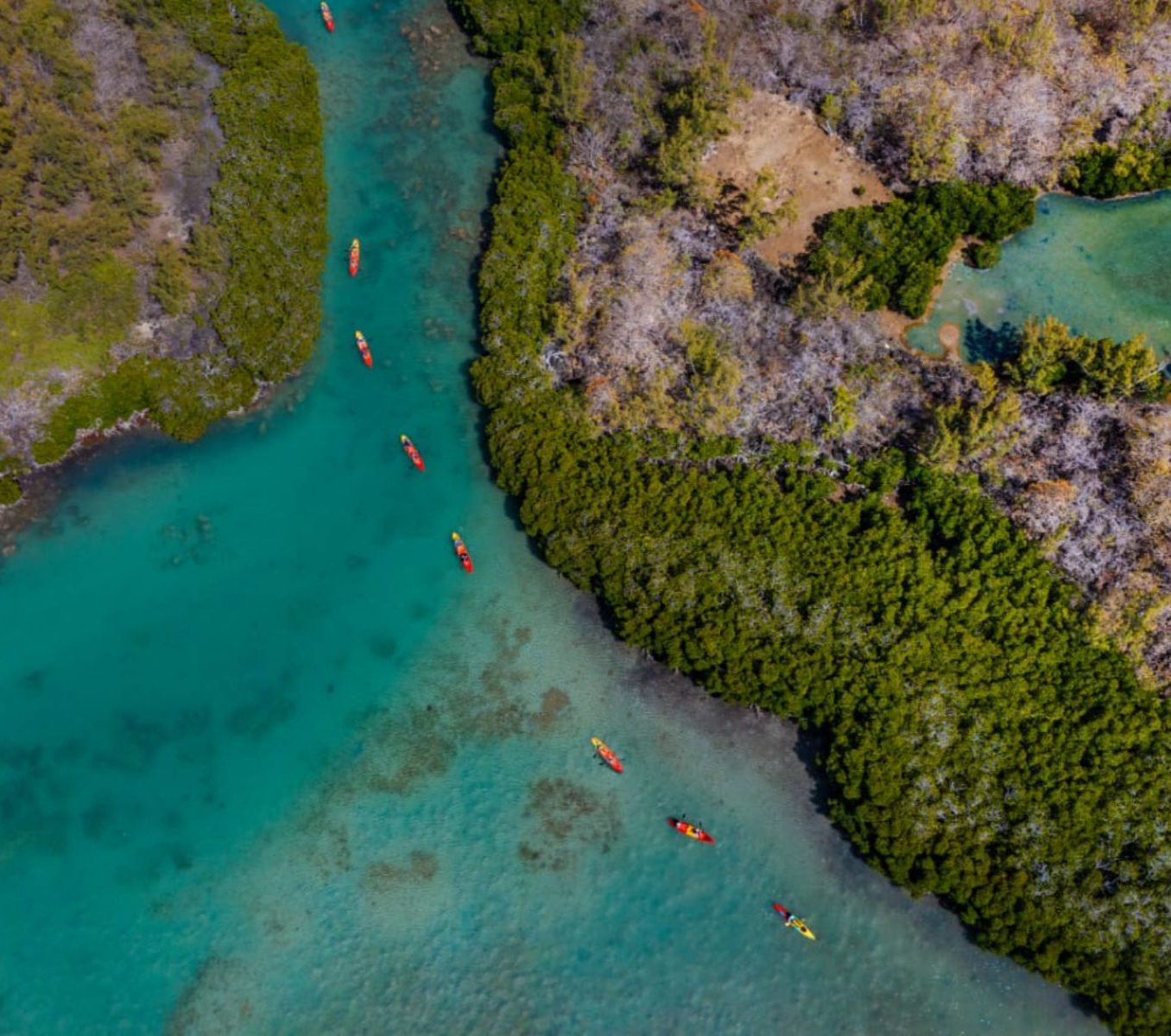 Rondreis Mauritius, Tamarin bay, Excursie Kajakken op de Tamarin River, rij van kajaks