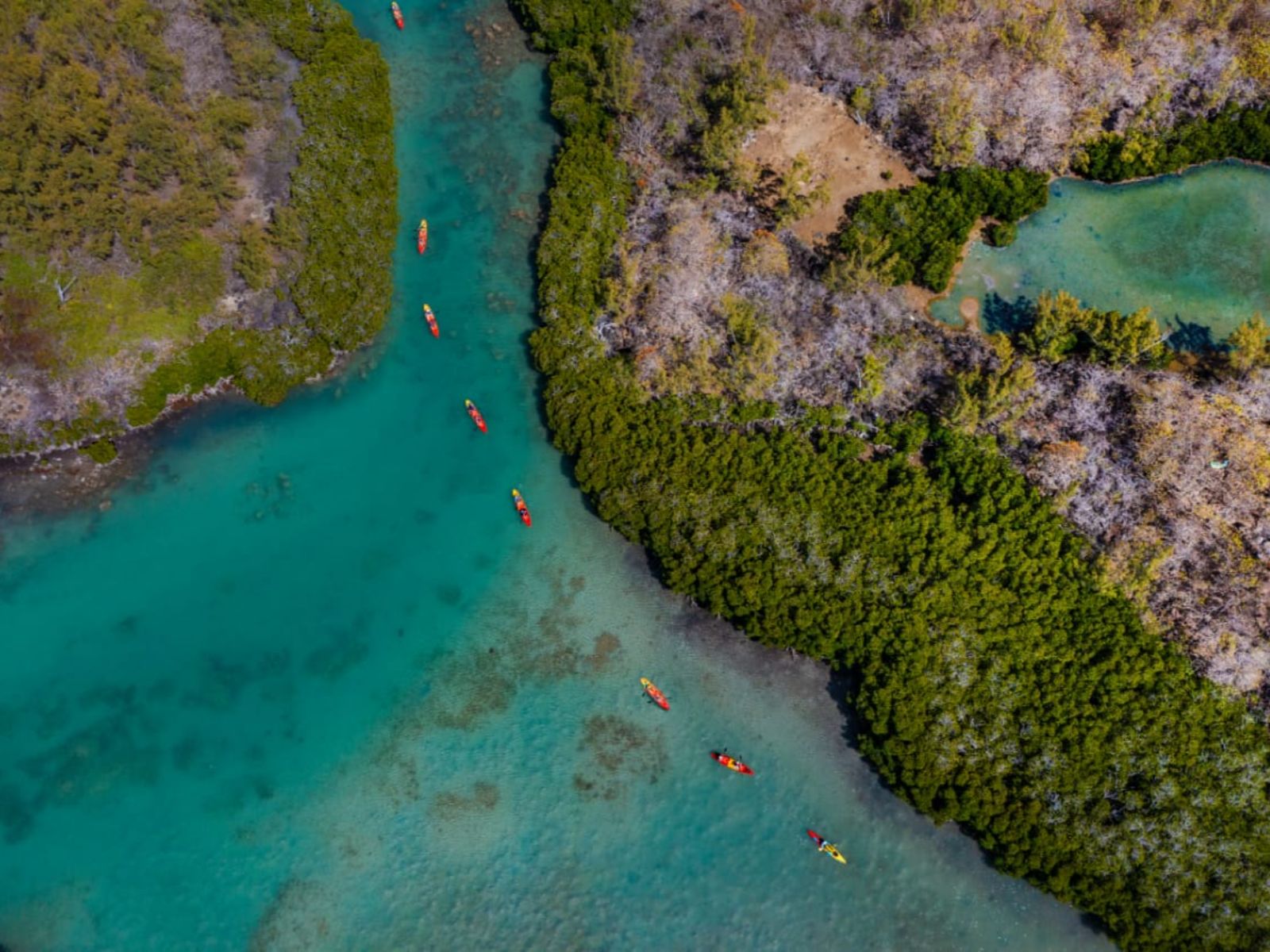 Rondreis Mauritius, Tamarin bay, Excursie Kajakken op de Tamarin River, rij van kajaks