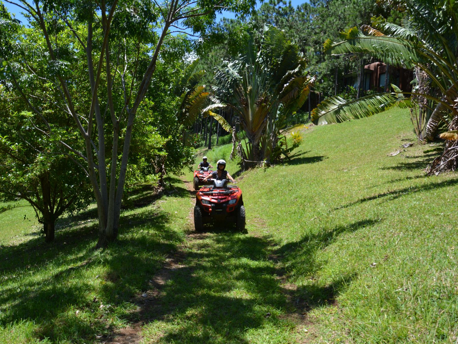 Rondreis Mauritius, Zuidkust, Excursie Quad Biking Adventure, Quad bikes door het groen
