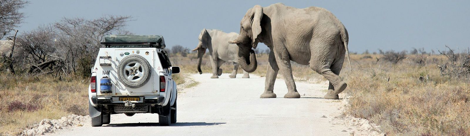 Rondreis-Namibie-Etosha-National-Park-safari-auto-en-olifanten-op-de-weg-aspect-ratio-1512-438
