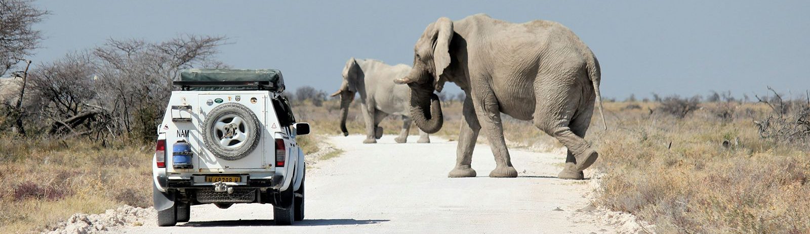 Rondreis-Namibie-Etosha-National-Park-safari-auto-en-olifanten-op-de-weg-aspect-ratio-1512-438