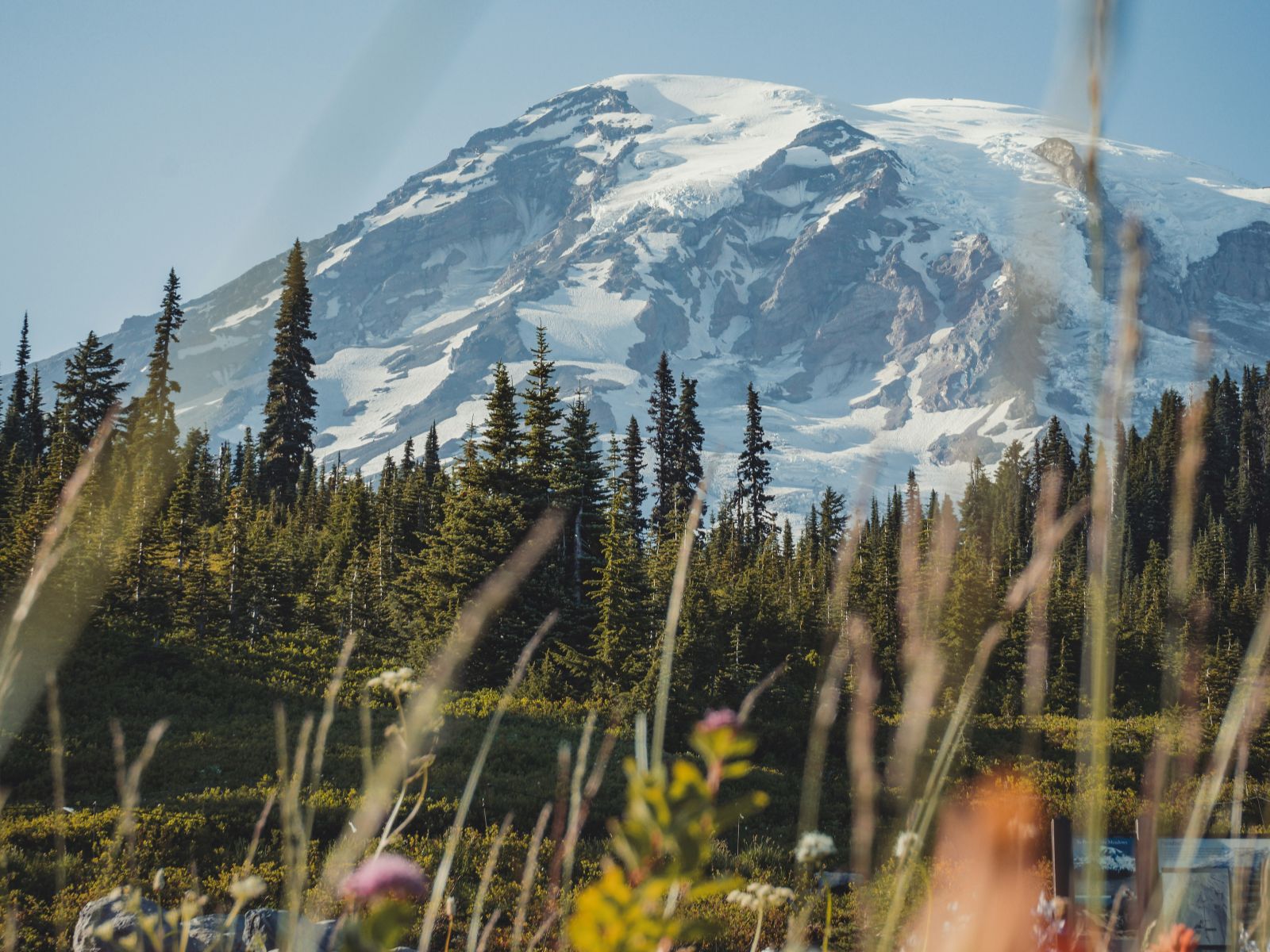 Rondreis Amerika, Mount Rainier, Berg tussen bloemen door