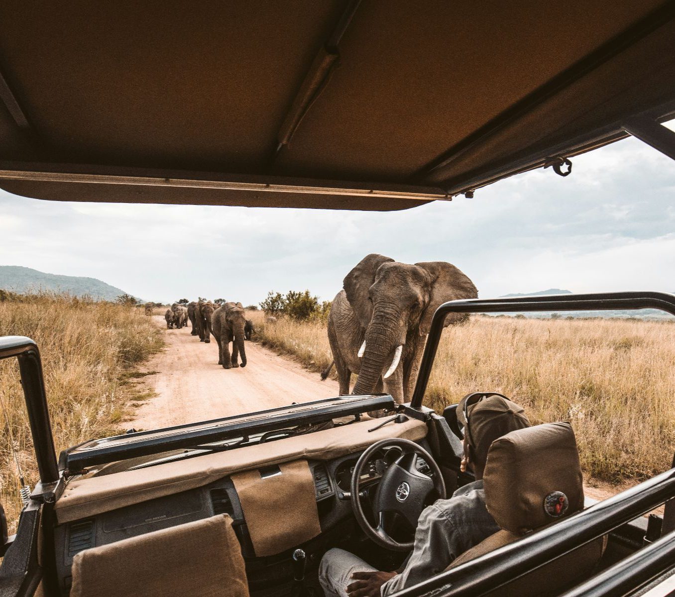 Rondreis Botswana, Kasane, excursie Game Drive, kudde olifanten