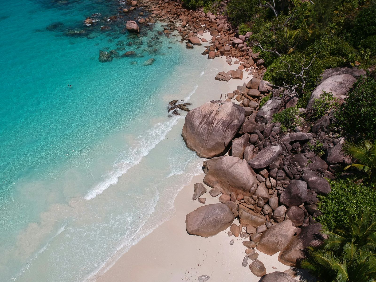 Rondreis Seychellen, Praslin, excursie Vallee de Mai and Anse Lazio, Anse Lazio strand van bovenaf