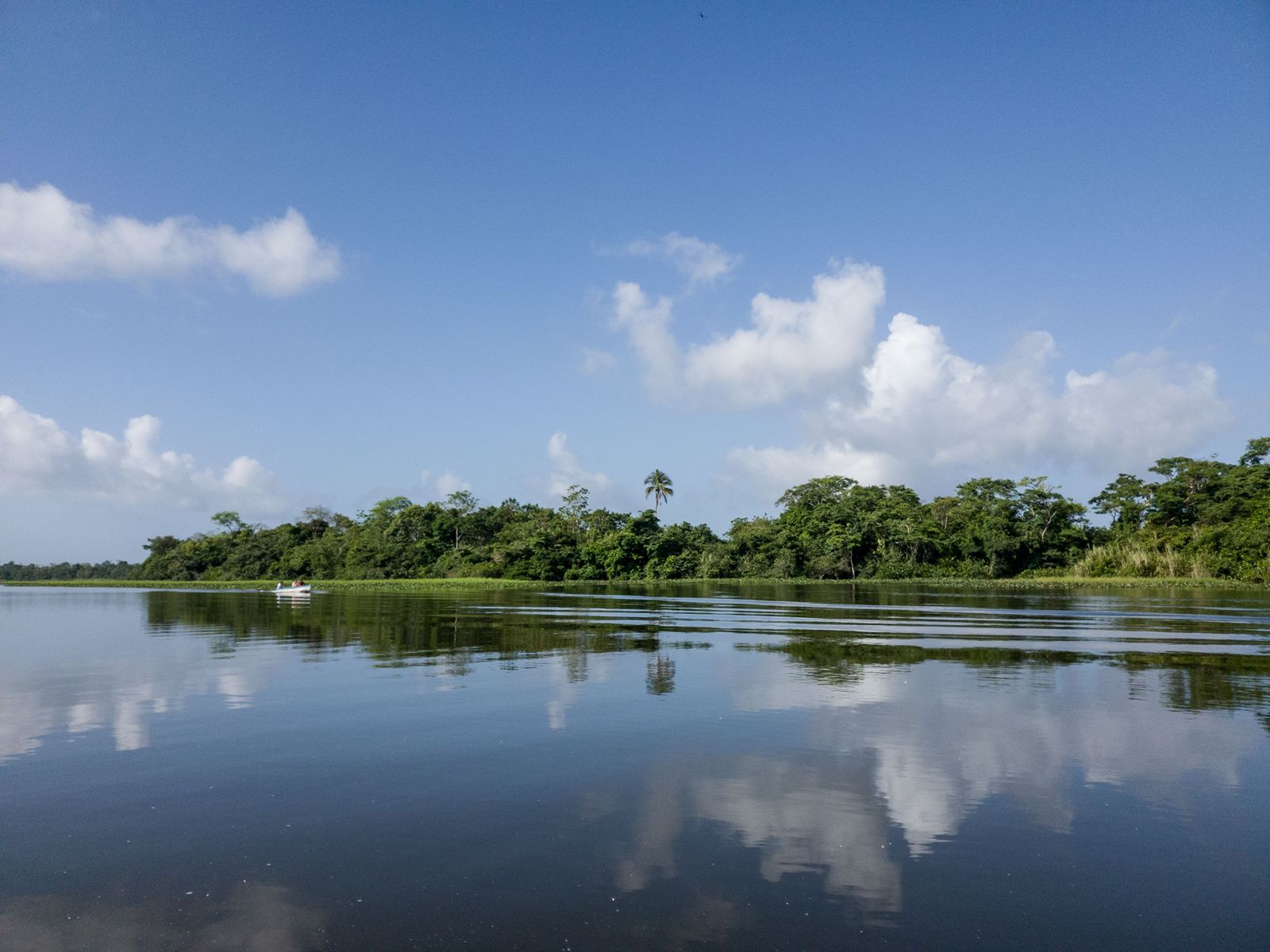 Rondreis Nicaragua, El Castillo, Kajakken in Indio Maíz, Rio San Juan