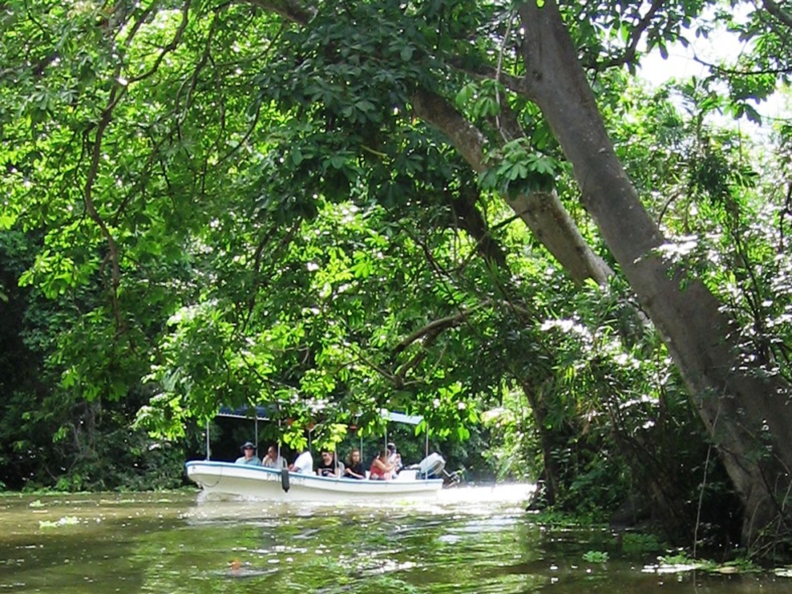Rondreis Nicaragua, Granada, excursie varen Las Isletas, boottocht