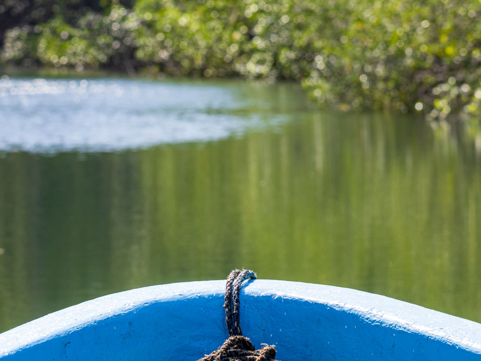 Rondreis Nicaragua, Leon, excursie boottocht moerassen Juan Venado, boot in mangroven