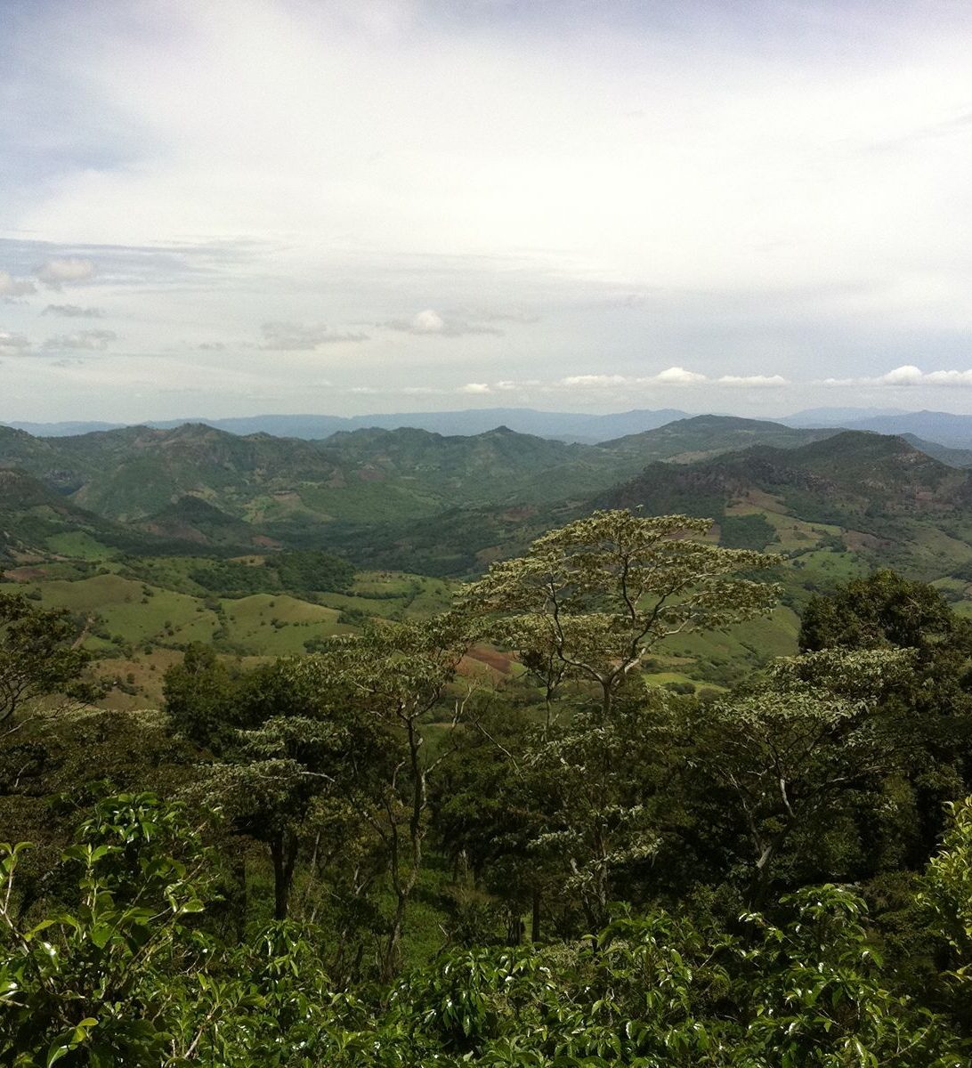Rondreis Nicaragua, Matagalpa, excursie Ontdek Cerro El Arenal, groene heuvels Rondreis Nicaragua, Matagalpa, excursie Ontdek Cerro El Arenal, groene heuvels