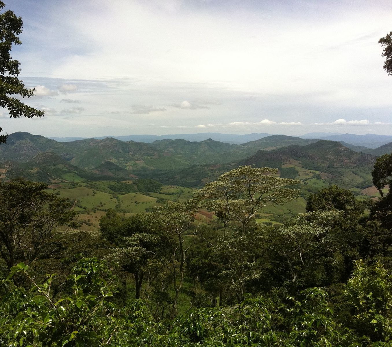 Rondreis Nicaragua, Matagalpa, excursie Ontdek Cerro El Arenal, groene heuvels