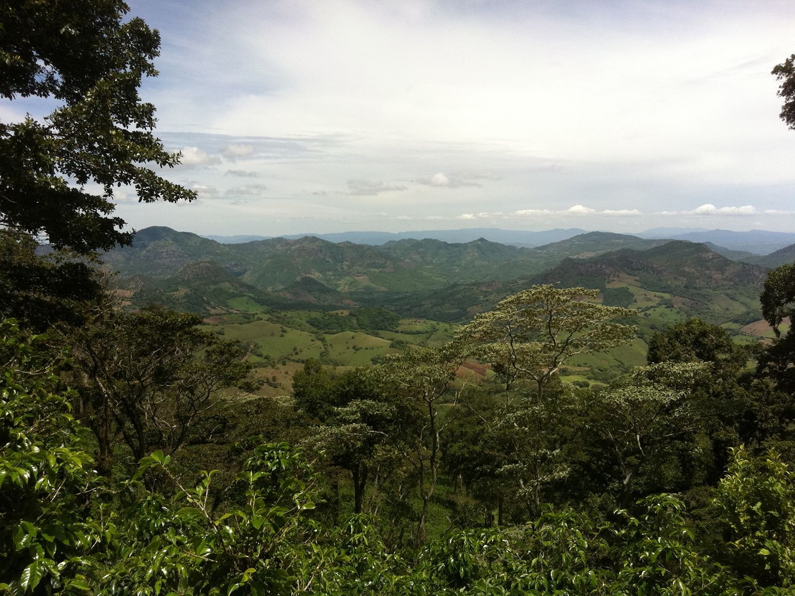 Rondreis Nicaragua, Matagalpa, excursie Ontdek Cerro El Arenal, groene heuvels