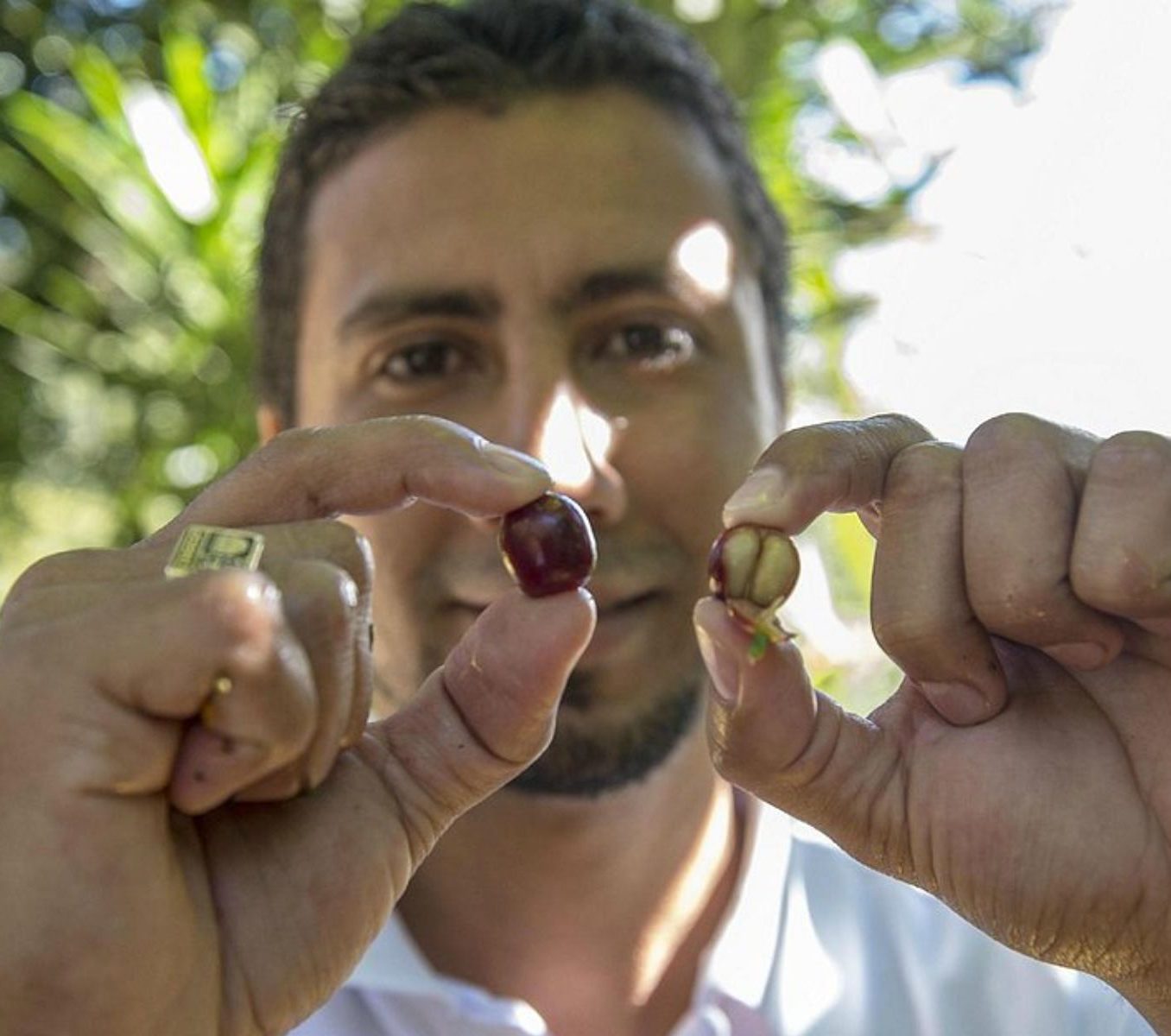 Rondreis Nicaragua, Matagalpa, excursie duurzame boerderijtour Aguas del Arenal, gids toont koffieboon